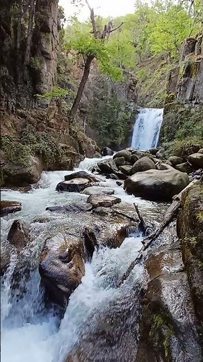 ¿Visitas El Maiten? Esta MARAVILLA de #cascada es en Cañadon de los Ensueños #primavera 2023 #real