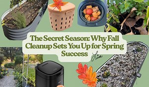 The Secret Season: Why Fall Cleanup Sets You Up for Spring Success