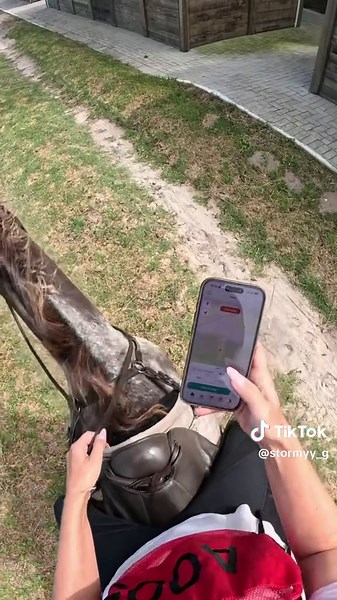 Pony's First Timed Distance Ride: A Champion Experience