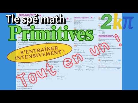 Tout en un - Maîtriser les primitives (TOUS les exercices indispensables)