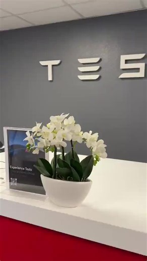 Investing in Tesla: A Movement for Clean Energy