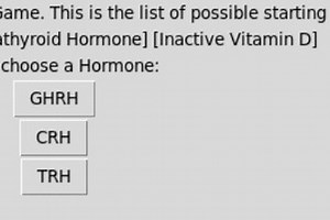 Hormone Adventure Game