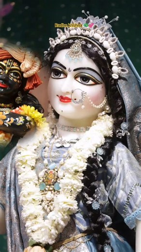 श्याम-श्याम करके दुनिया बावरी सी होरी💞🦚#radheradhe #shorts #ytshorts #viralshorts #trending