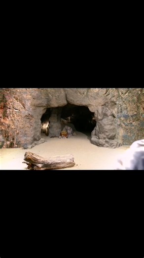 Capítulo 227-2aParte Moisés | La Biblia en tu Diario Vivir