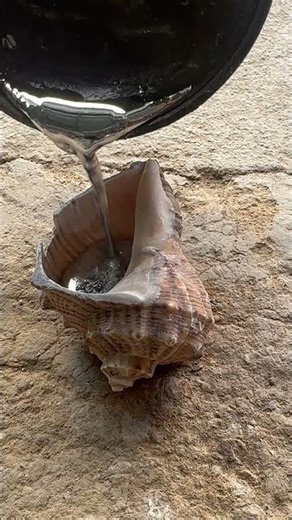 Upcycled Metal Snail Art ✨ #recycling #metalcasting #art