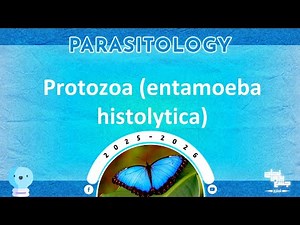 L5: Introduction to protozoa (entamoeba histolytica); Parasitology