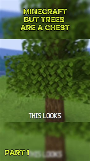 Exploring the World of Minecraft