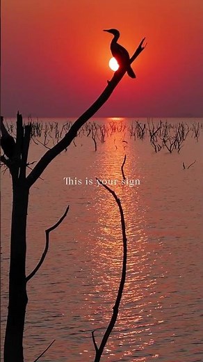 Lake Kariba
