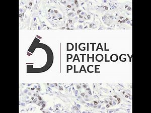 126: How Can Digital Pathology Workflows Stay Compliant and Efficient w/ Scott Randall, Hamamatsu...