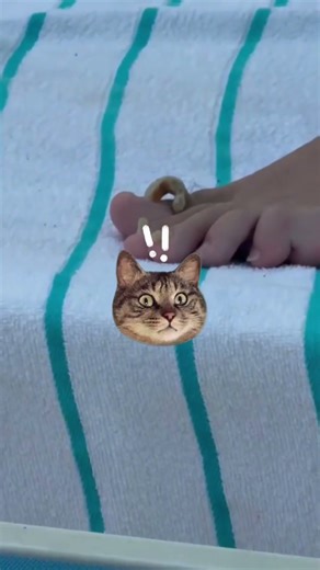 The world's ugliest toenails