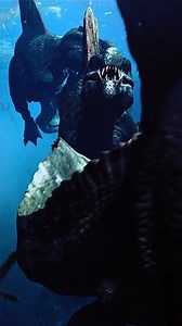 24K views · 757 reactions | Would jump in & swim with these cute sea...