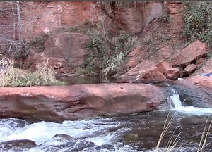 Yoga Brain Break at Oak Creek River in Sedona