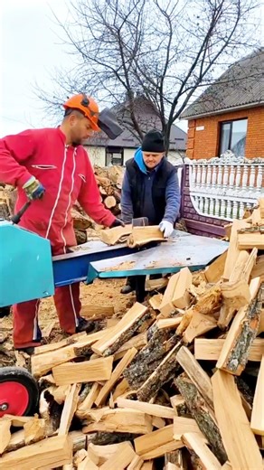 Log Splitter #logsplitter #firewood