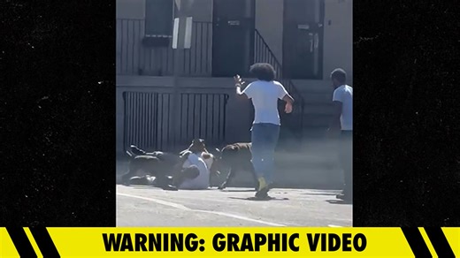 Cop Shoots at Pack of Dogs Attacking Man in the Street in Harrowing Video