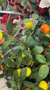 Les arrivages ACTION . . . #action #nouveautesaction #arrivage_action #bonplan #actionaddiction | Sarah Magnier