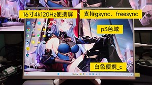 16寸4k120Hz p3色域便携显示器 DP输入 支持gsync freesync 适合IT、台式电脑、游戏本玩家  《生化危机4》游戏实录
