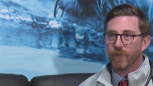 How to help your pets who may be allergic to mountain cedar