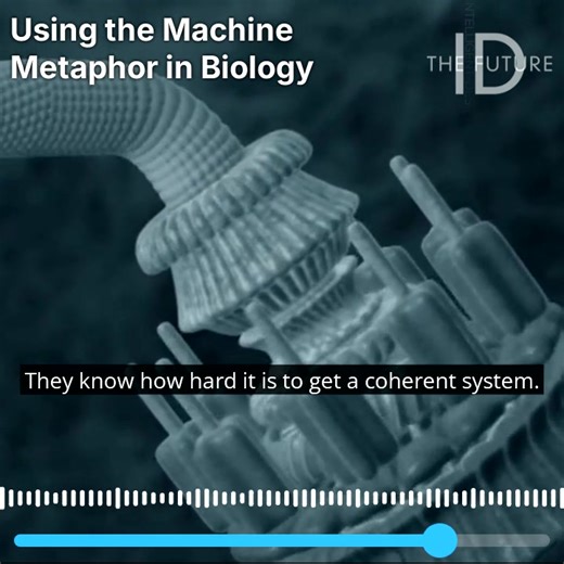 70K views · 1.1K reactions | Is comparing biological systems to machines a helpful analogy? Here's Dr. Emily Reeves in a clip from a new episode of the ID The Future podcast. #intelligentdesign #evolution Center for Science & Culture | Stephen C. Meyer | Facebook