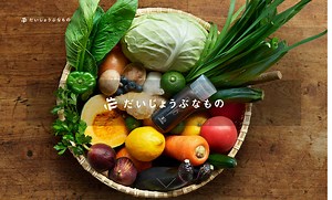 ヴィーガンDHA＋ボラージオイル - だいじょうぶなもの