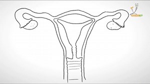 7.4K views · 94 reactions | Why do #women have #periods? | #Medical &...