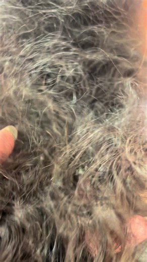 Suhana Salon: Kiraten Plus Protein Treatment