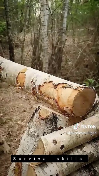 Essential Bushcraft Skills for Outdoor Survival