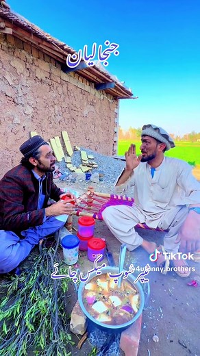 Exploring the Joy of Life with Kohat Solar System