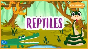 Los Reptiles, una Manera Rara de Caminar - Vídeo Educativo | Happy Learning