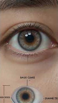 Are Contact Prescriptions the Same as Glasses?