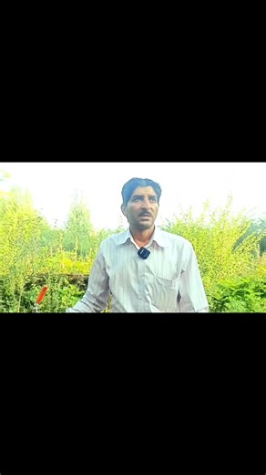 manzoor wildlife | Levantine viper #snake #viral #viralvideos #care #wildlife #wildlifephotography #educationpurpose | Instagram