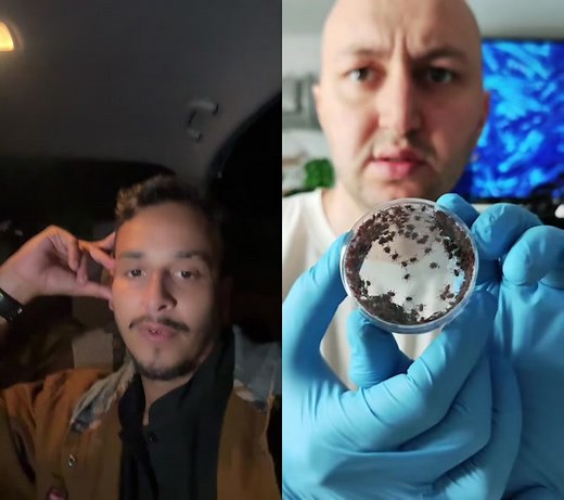 Understanding Ticks Through Close-Up Photography