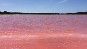 Why Is This Lake in Australia Bright Pink?