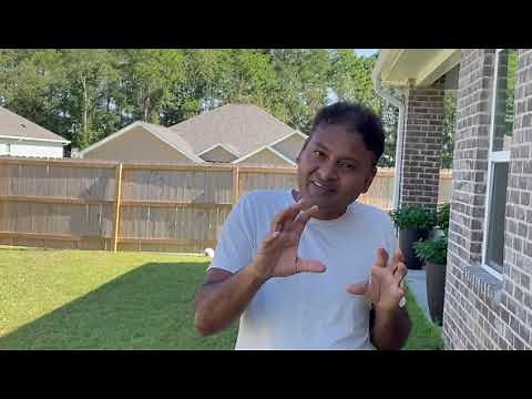 What to learn in BTP?