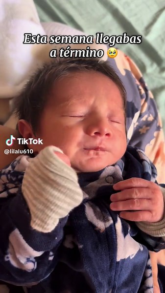 Lilalú on TikTok