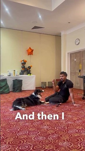 Get Dog Training Right - Understanding Reinforcement & Mechanics in Dog Training