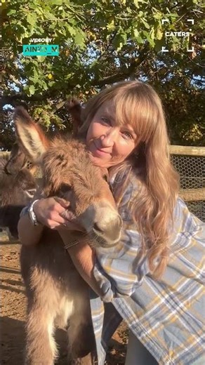 Donkey loves cuddles