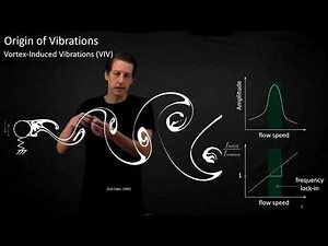 Vortex-Induced Vibration of Soft Corals for Improved Food Capture - SICB talk