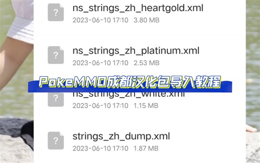PokeMMO成都汉化包，下载，解压，导入保姆版教程，再不会的直接回幼儿园深造