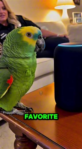 🦜 Sassy vs. Alexa! That Siri burn tho.. 💀 #CritterPD #ParrotRoast #AlexaRoast #SassyTheParrot #SavageParrot
