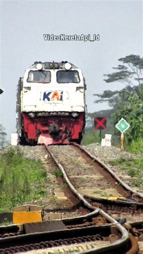 Kereta Lodaya Seperti Muncul Dari Dalam Tanah | Videokereta Api Id