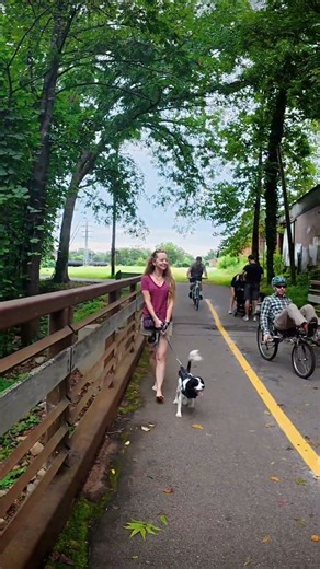 Lots Of Neat Things To See Along The Swamp Rabbit Trail In Greenville South Carolina 🐸