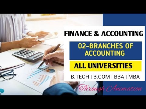 L2-Branches of Accounting Explained in Simple Words | Financial, Cost & Management Accounting Basics