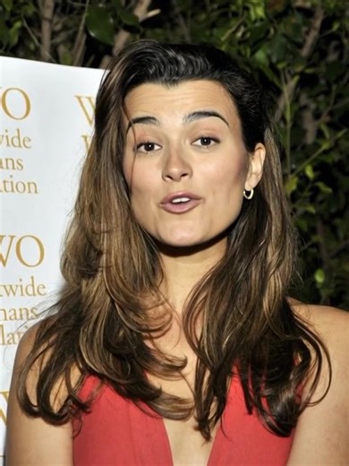 Ziva David: Unraveling Cote de Pablo's Role in NCIS