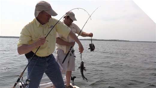 Casting crank baits for sea bass