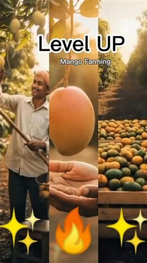 Technology in Mango Fields #mango #village #shorts