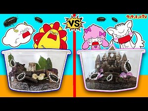 【昆虫】ダンゴムシの家作り対決！お引越し中にトラブル発生!？虫かごで観察して生態を学ぼう♪生き物・子供向け知育教育★サンサンキッズTV★