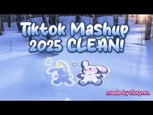 1 hour Tiktok Mashup 2025 "CLEAN"