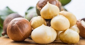 ▷ Nuez de Macadamia 【Beneficios y Contraindicaciones】 ?