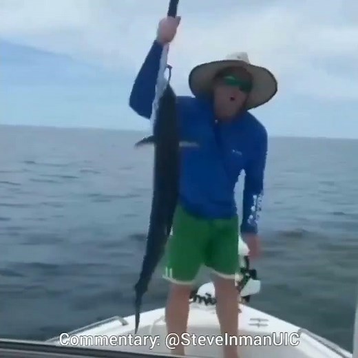 Fish Slap #funny #unexpectedknockouts #cat