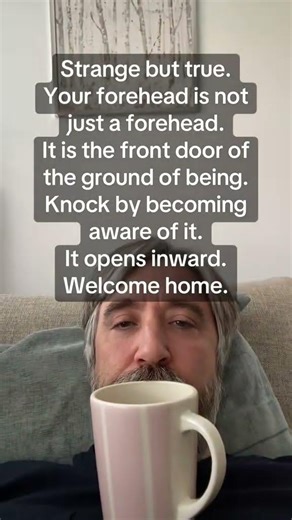 Rest in the gentle density between midbrow and midbrain #spirituality #meditation #mindfulness